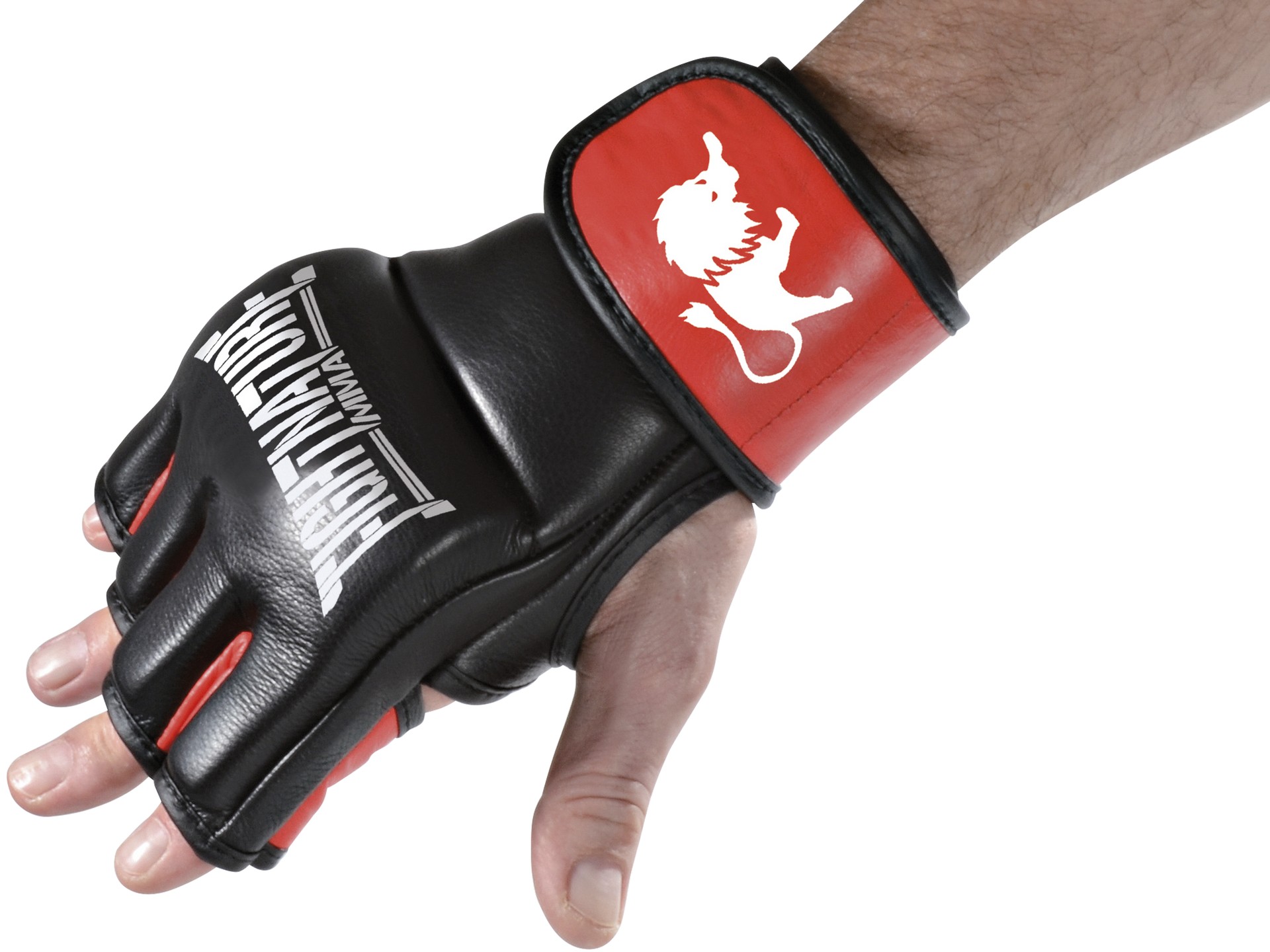 FIGHTNATURE MMA Handschuhe Leder