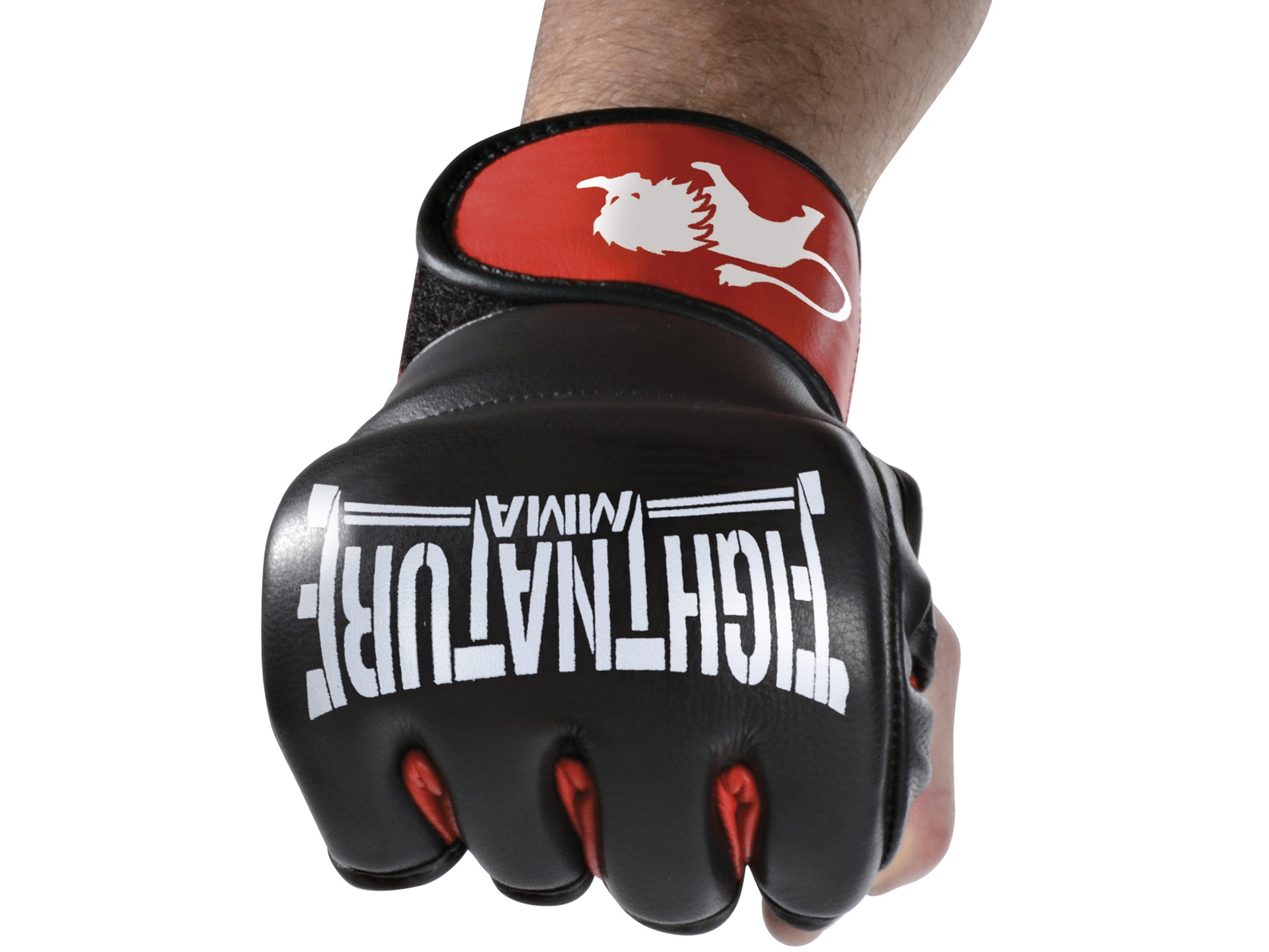 FIGHTNATURE MMA Handschuhe Leder