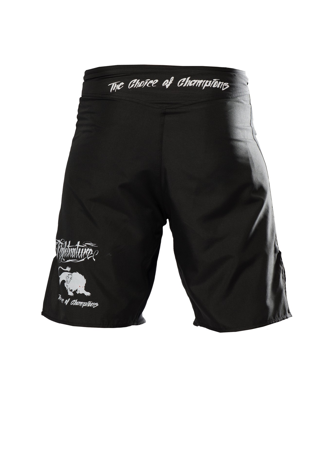 FIGHTNATURE MMA Shorts schwarz