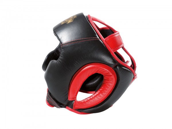 Sparring Head Guard