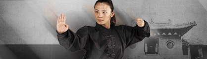 Kung Fu / Wu Shu / Tai Chi / Qi Gong