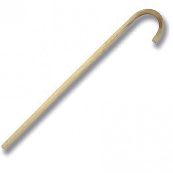 Cane with round handle