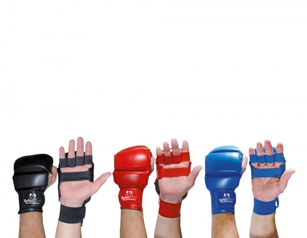 DANRHO Ju Jutsu Handschuhe