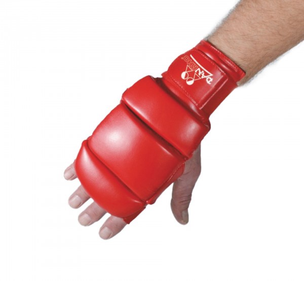 DANRHO Ju Jutsu Handschuhe