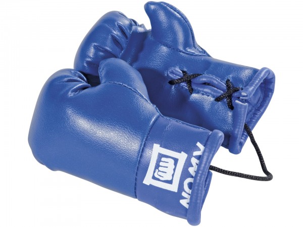 Mini Boxing Gloves