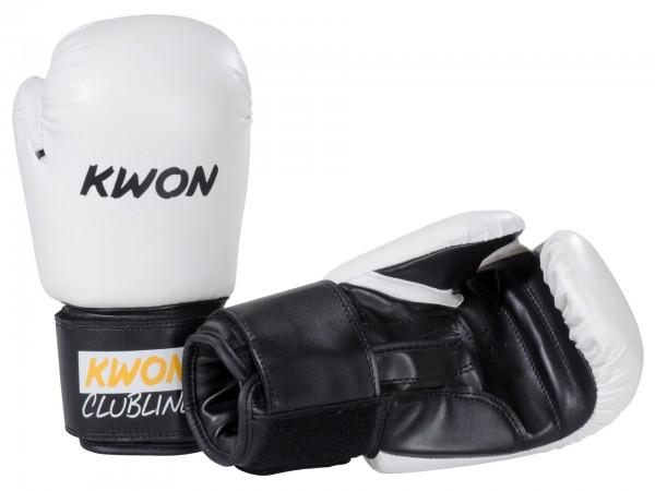 Boxing Glove Pointer Small Hand 8oz