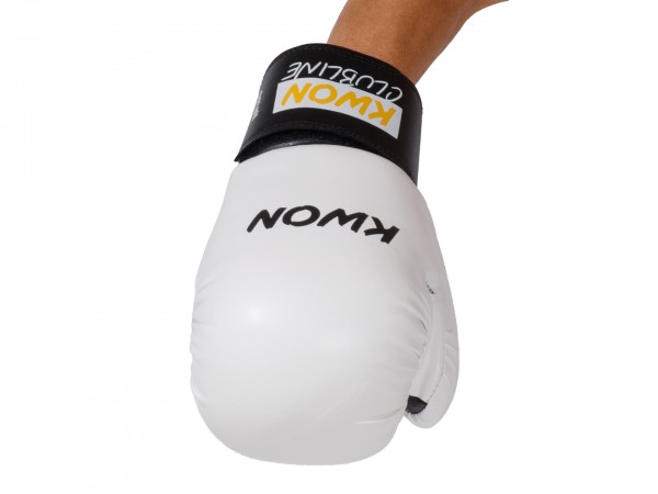 Boxing Glove Pointer Small Hand 8oz