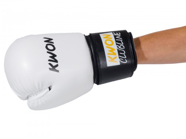 Boxing Glove Pointer Small Hand 8oz