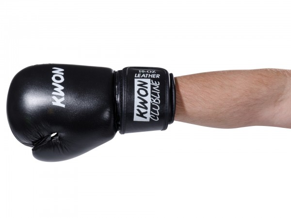 Boxing Gloves Pointer Leather